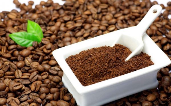 Cà phê rang mộc pha phin uống ngon không?