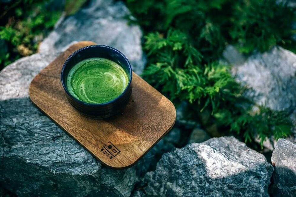 Cà phê matcha chứa nhiều Catechin và EGCg - cà phê matcha có gì đặc biệt