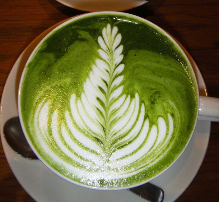 Cà phê matcha chứa nhiều Catechin và EGCg - cà phê matcha có gì đặc biệt