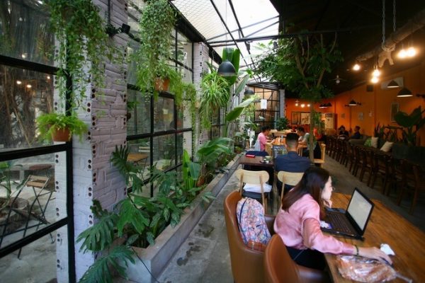 Quán cà phê rợp cây xanh ở trung tâm Hà Nội